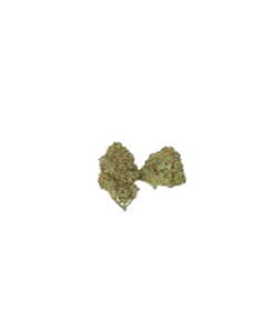 Black Cherry Dream Smalls