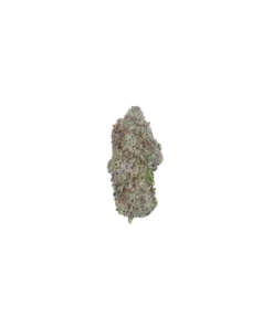 Ice Berry