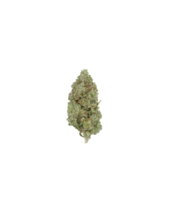 Super Bubba
