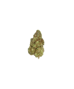 Super Lemon Haze